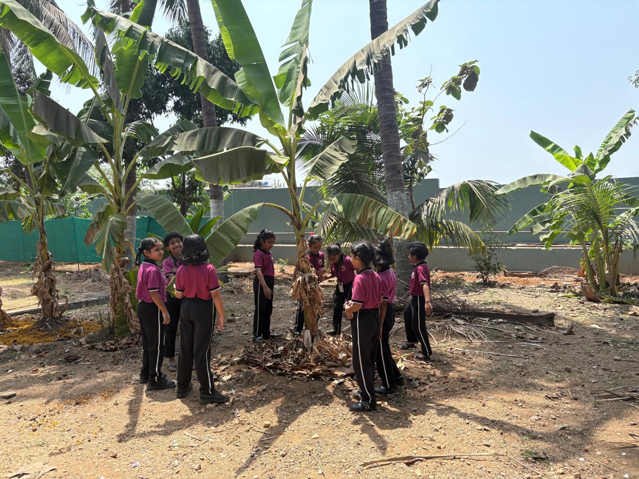 Nature walk Activity