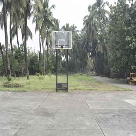 Basket Ball