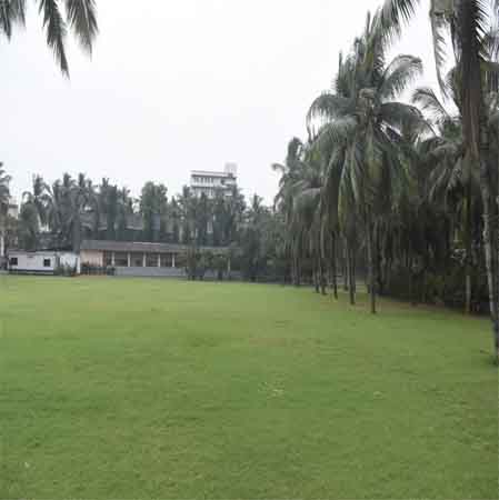 Play Ground